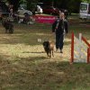 foire-haricots 2011-09-17et18
